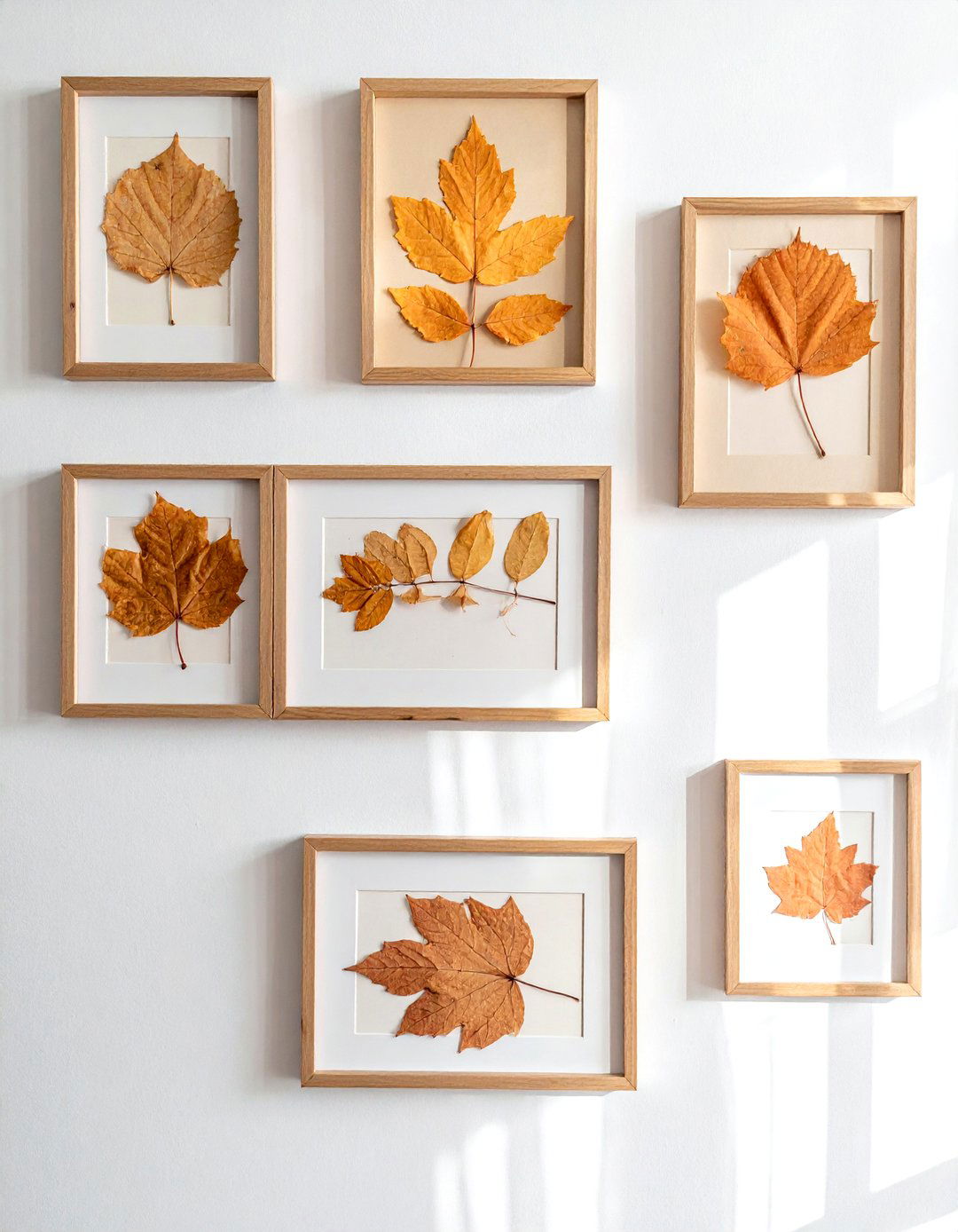 Framed Pressed Leaves - 30 woodland decor ideas