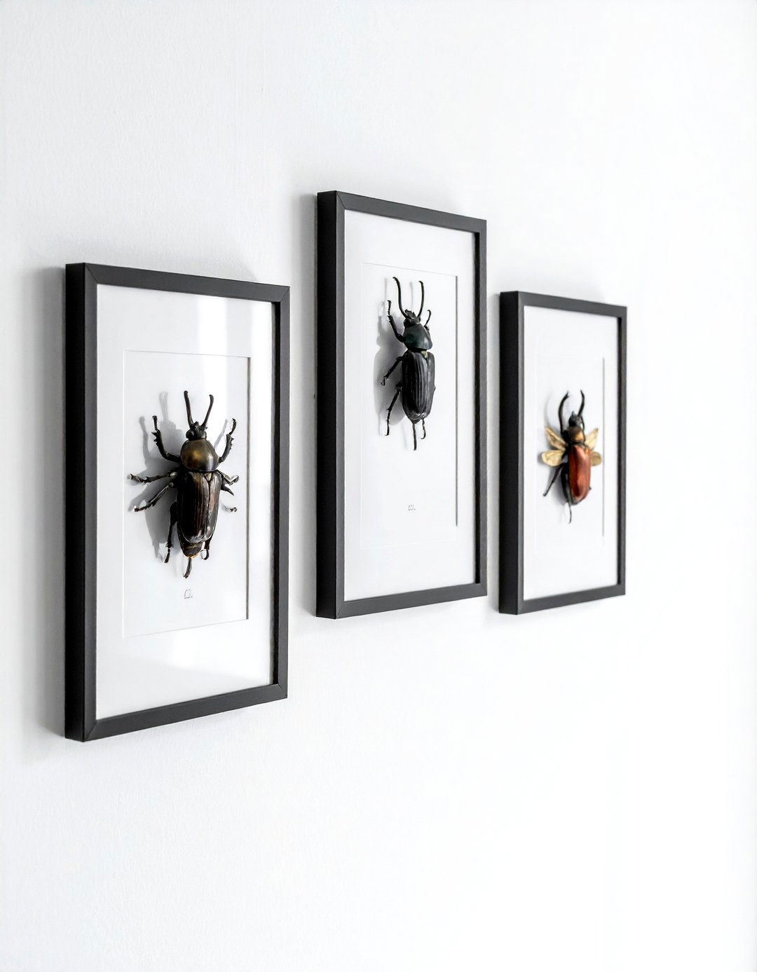 Framed insect specimen set - 30 curiosity decor ideas
