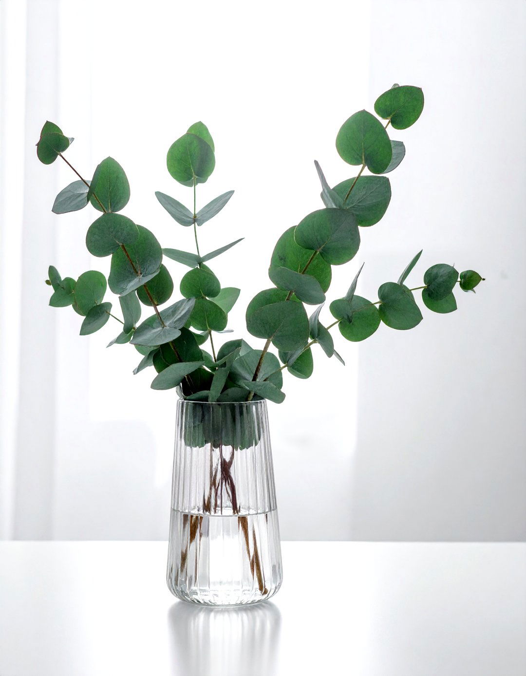 Fresh Eucalyptus Branch - 30 airy decor ideas