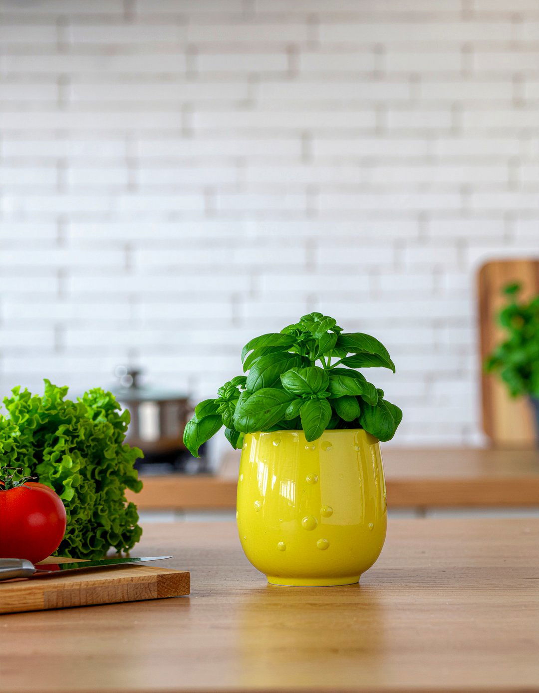 Fresh basil on kitchen counter - 30 kitchen potted plant ideas