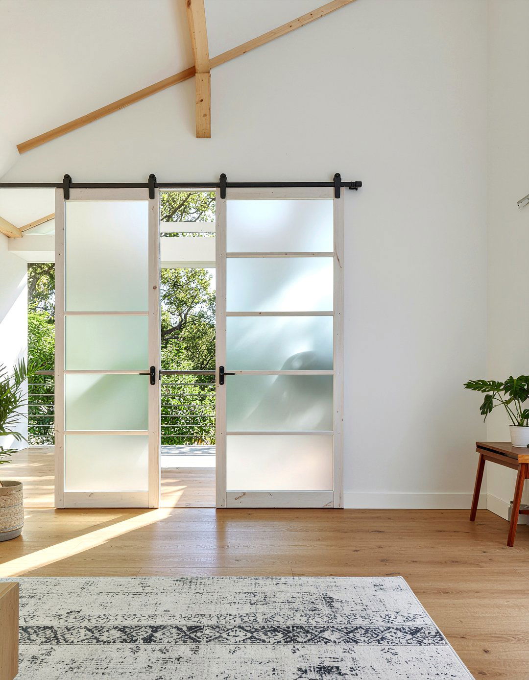 Frosted Glass Barn Door - 30 living room barn doors