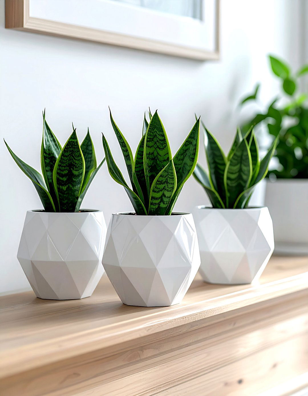 Geometric planter pots indoor - 30 geometric pattern decor ideas