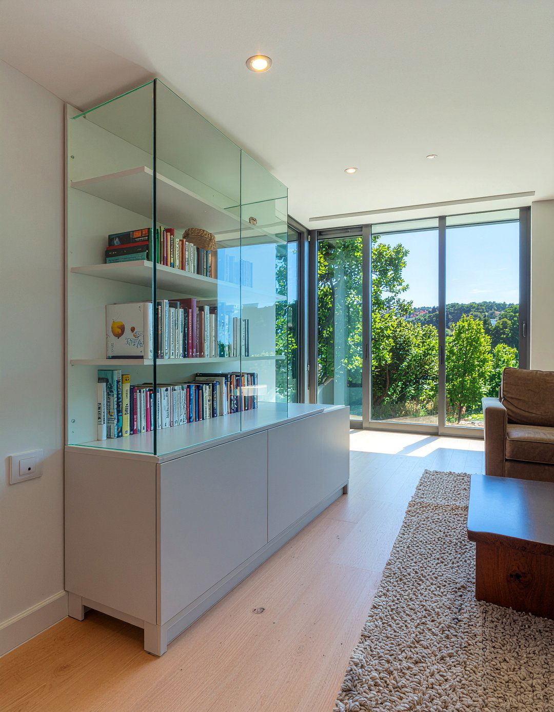 Glass Cabinet Door - 30 dust-free living room ideas