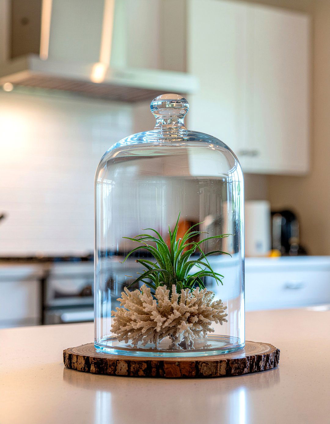 Glass Cloche Display - 30 kitchen centerpiece ideas