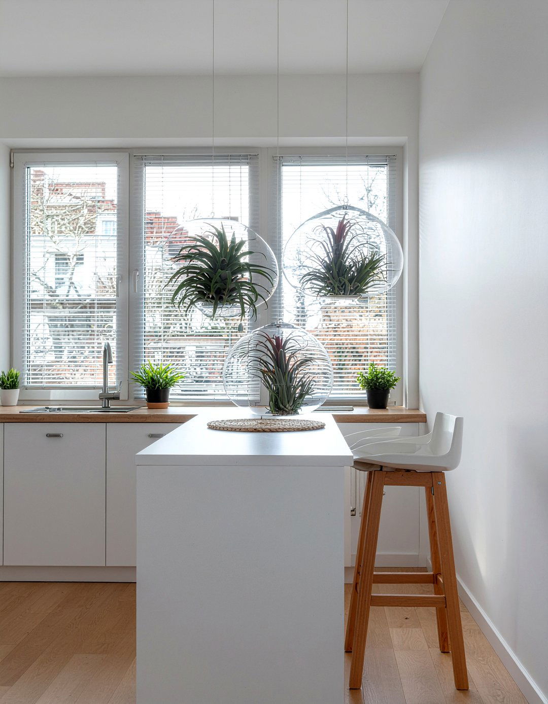 Glass Globe Air Plant Display - 30 hanging plant kitchen ideas