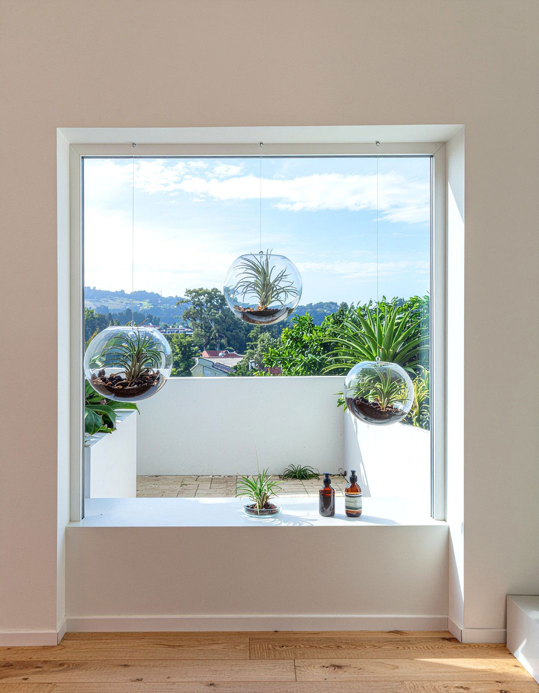 Glass Globe Air Plant - 30 bathroom planter ideas