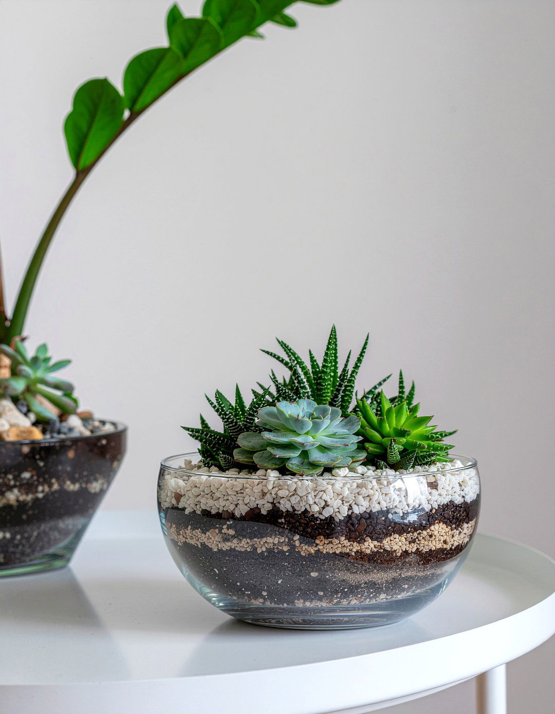 Glass Terrarium Kit - 30 living room accessories