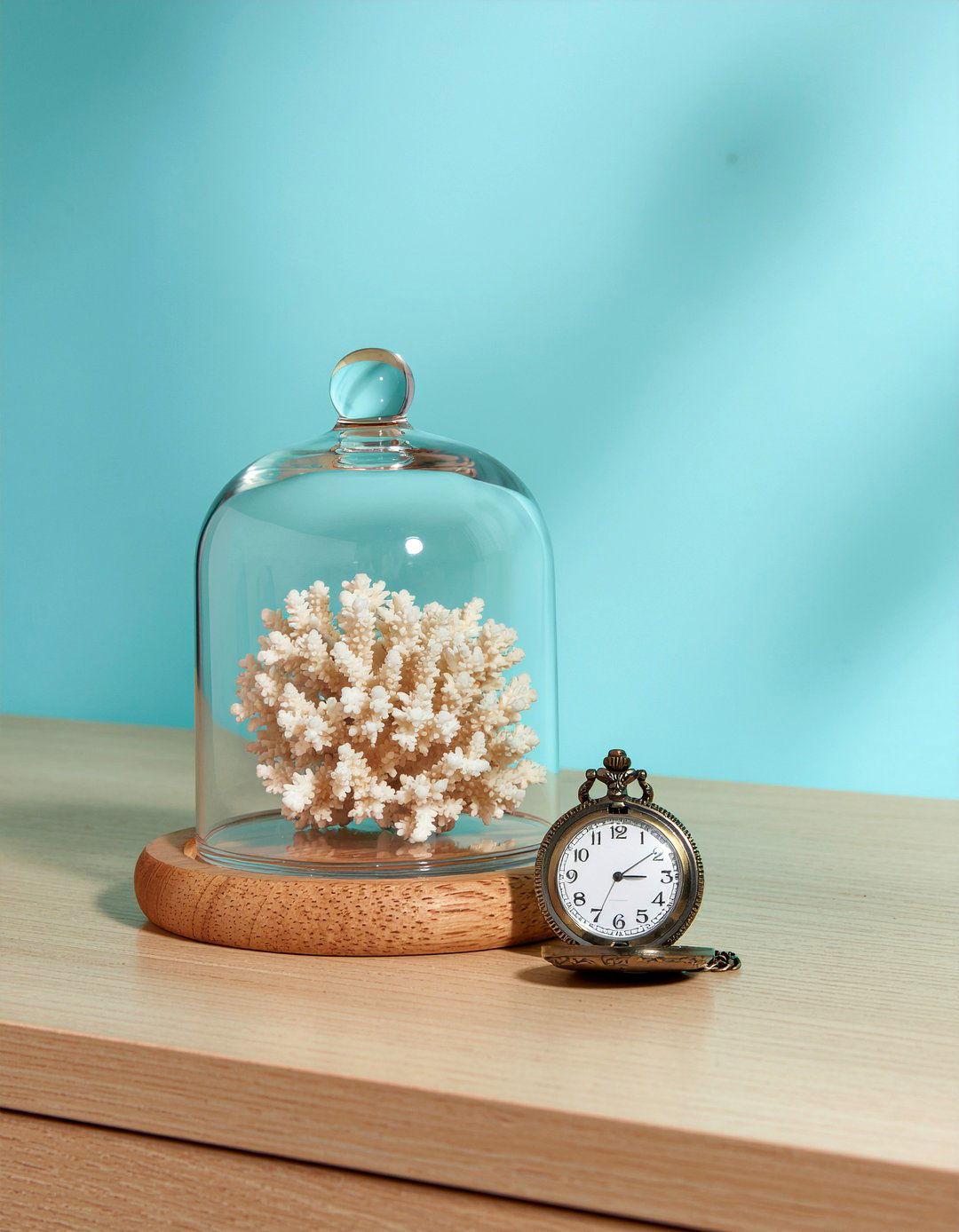 Glass cloche display - 30 thrifted living room ideas