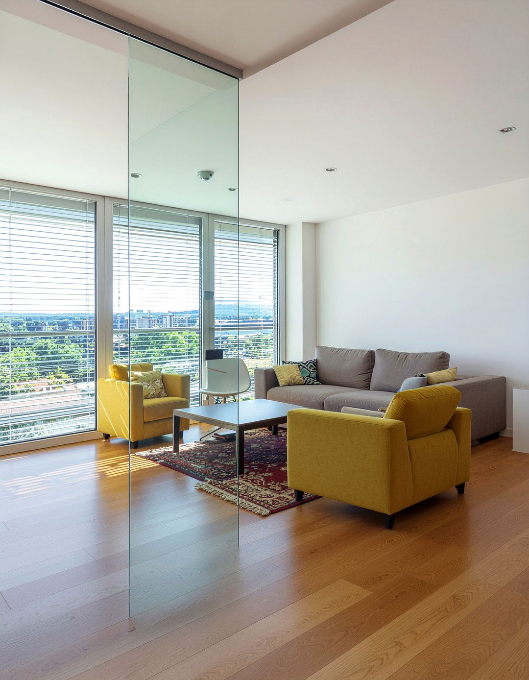 Glass partition living room - 30 living room natural light ideas