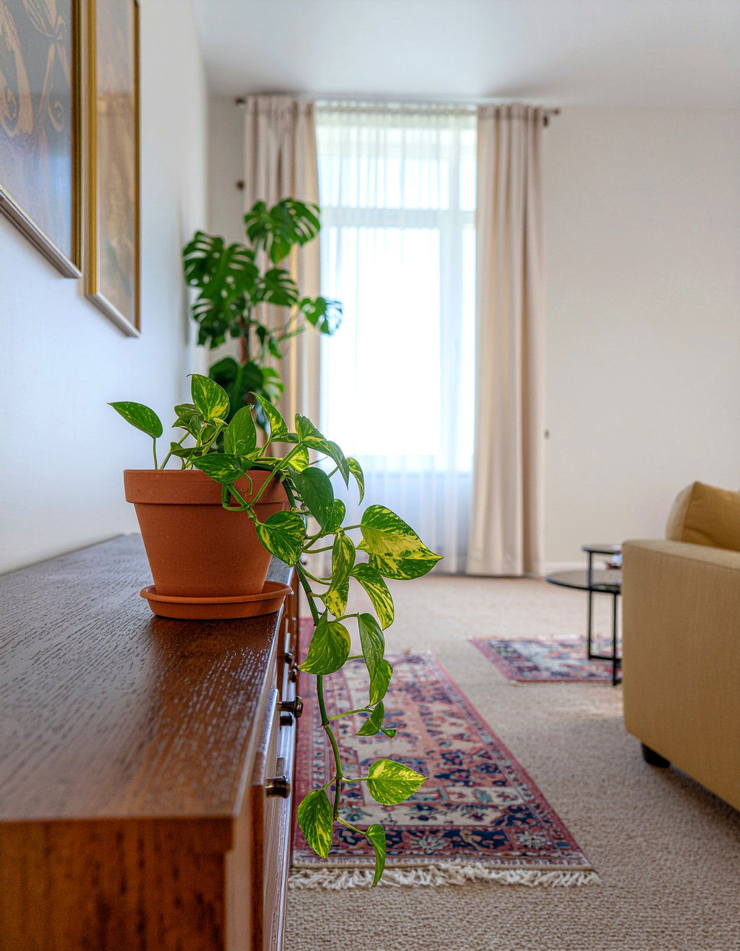Golden Pothos Living Room - 30 living room pothos ideas