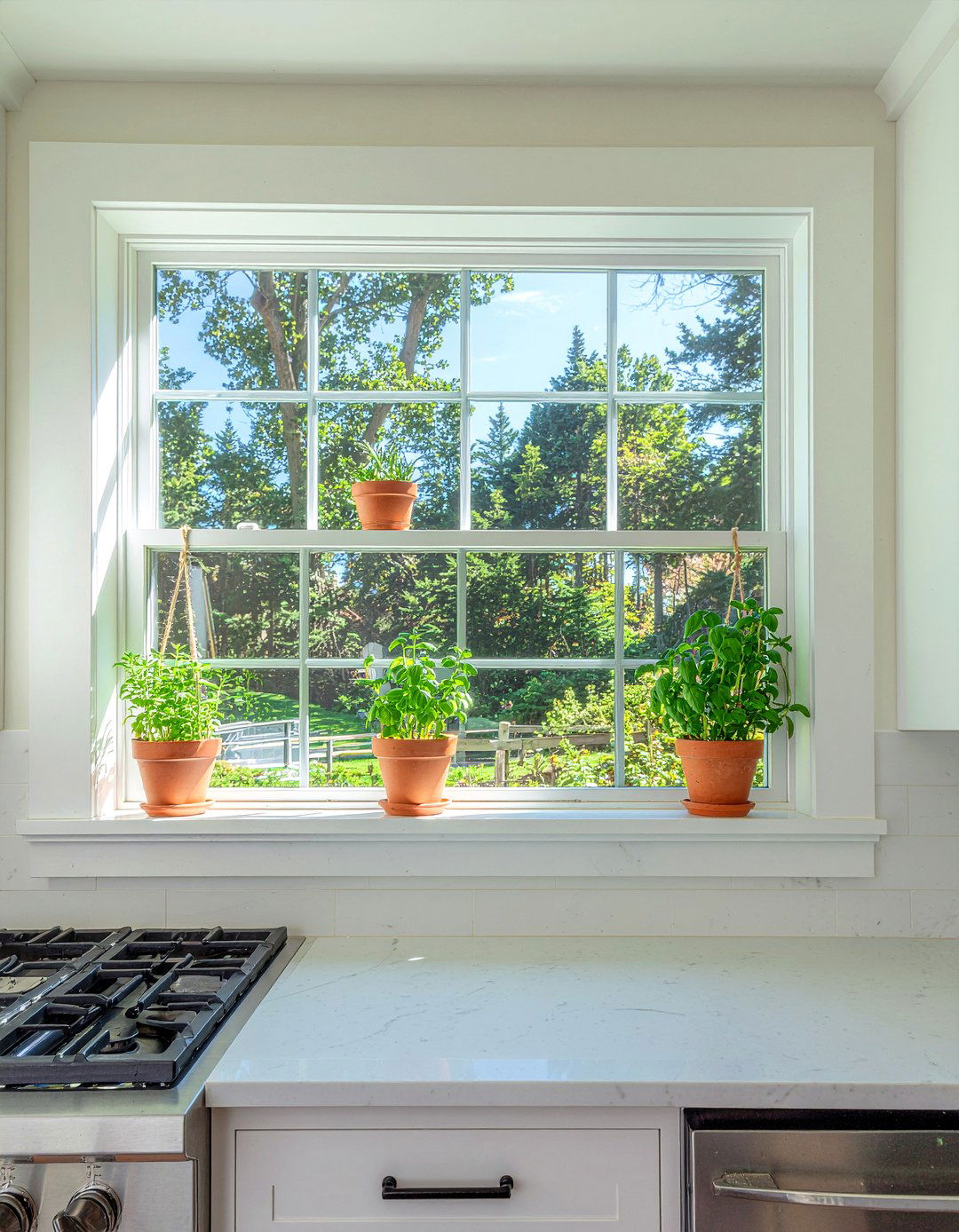 Hanging Herbs Near Kitchen Window - 30 hanging plant kitchen ideas
