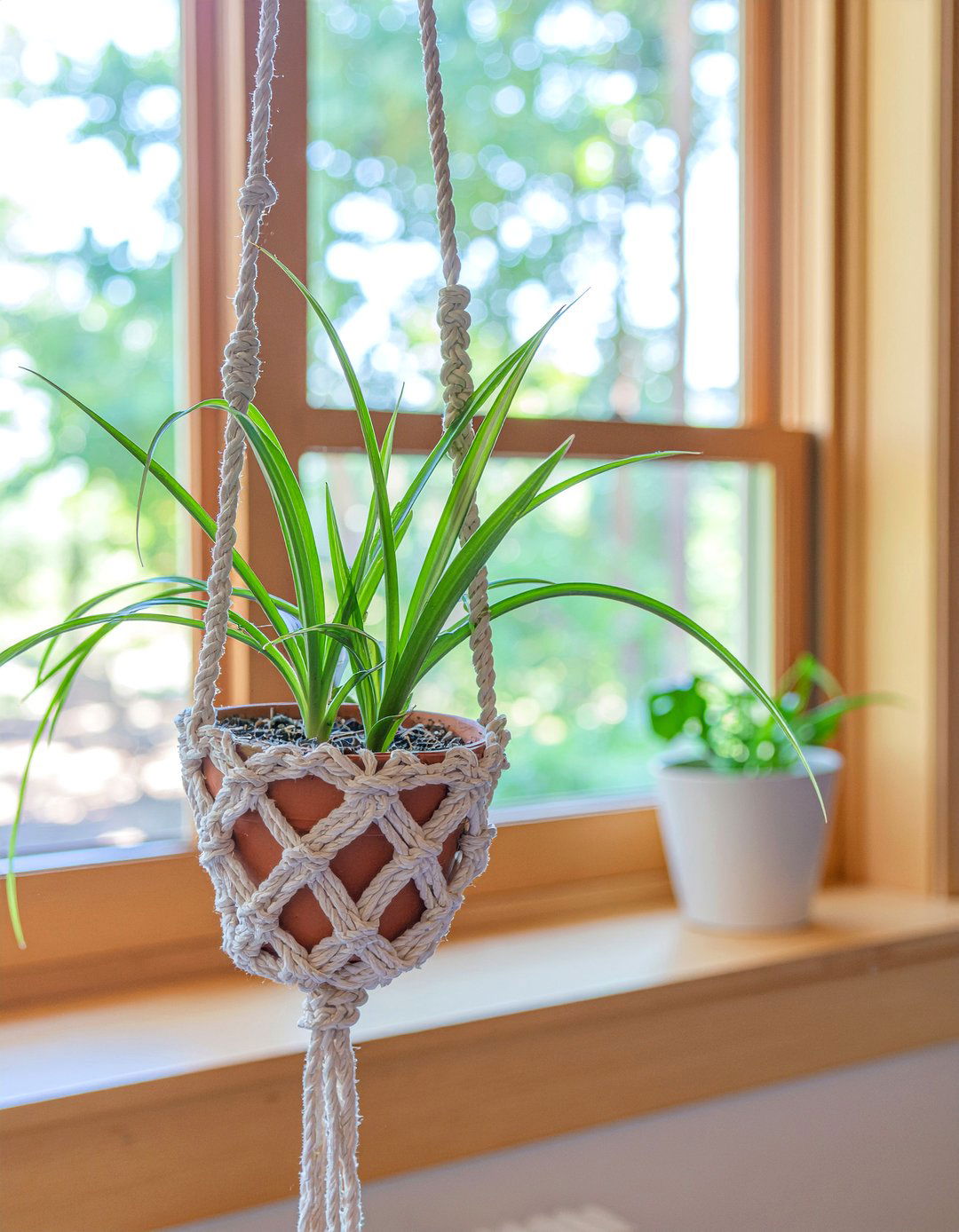 Hanging Macrame Planter - 30 living room planters