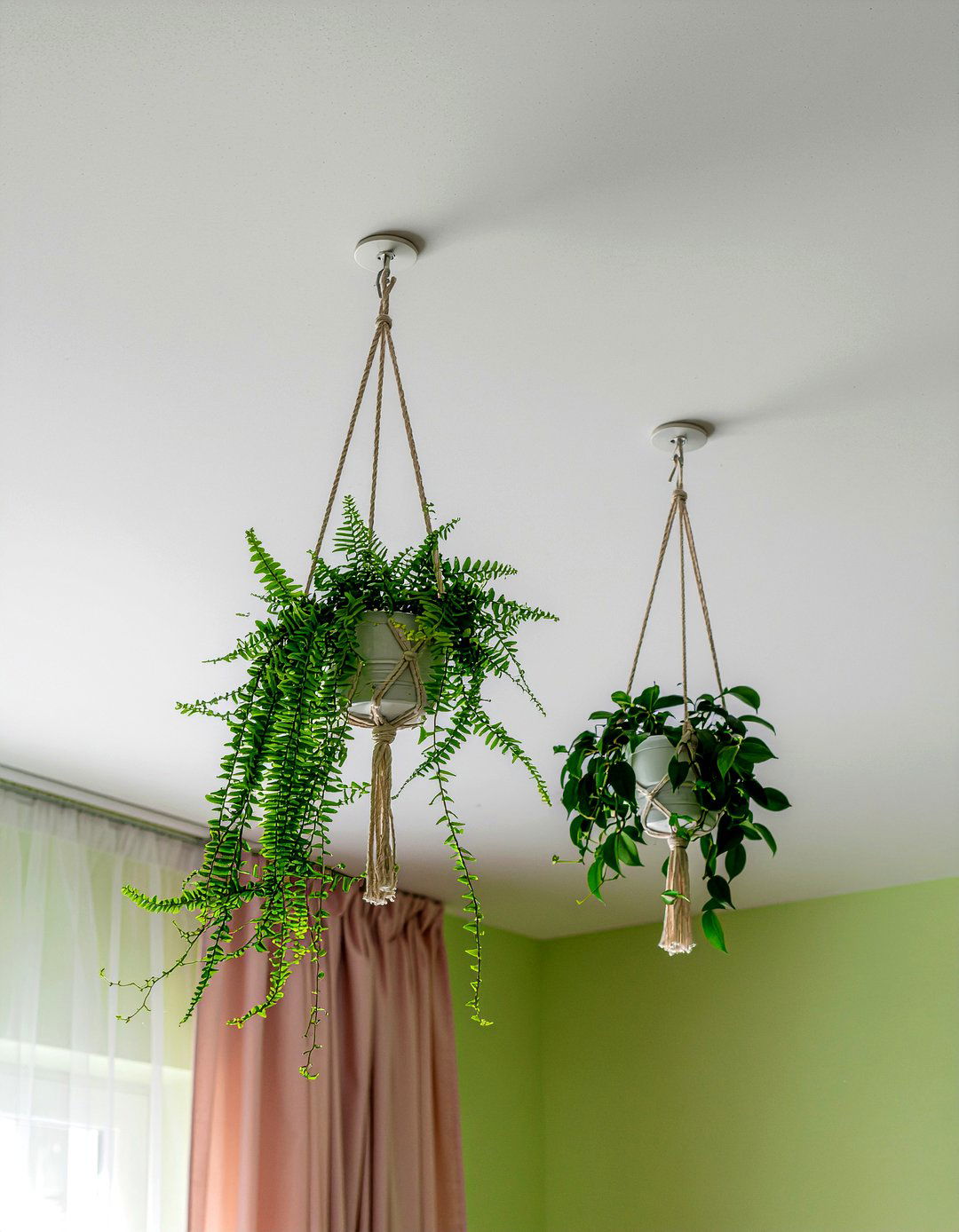 Hanging Plants - 30 natural bedroom ideas