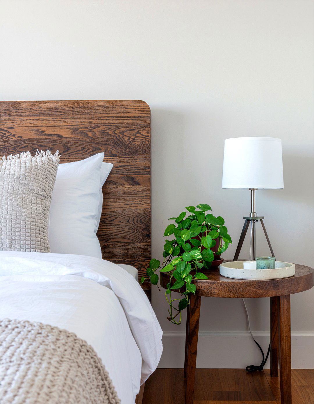 Heartleaf philodendron - 30 bedroom low light plants