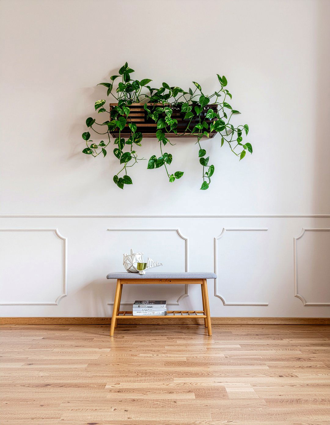 Heartleaf philodendron - 30 living room low light plants