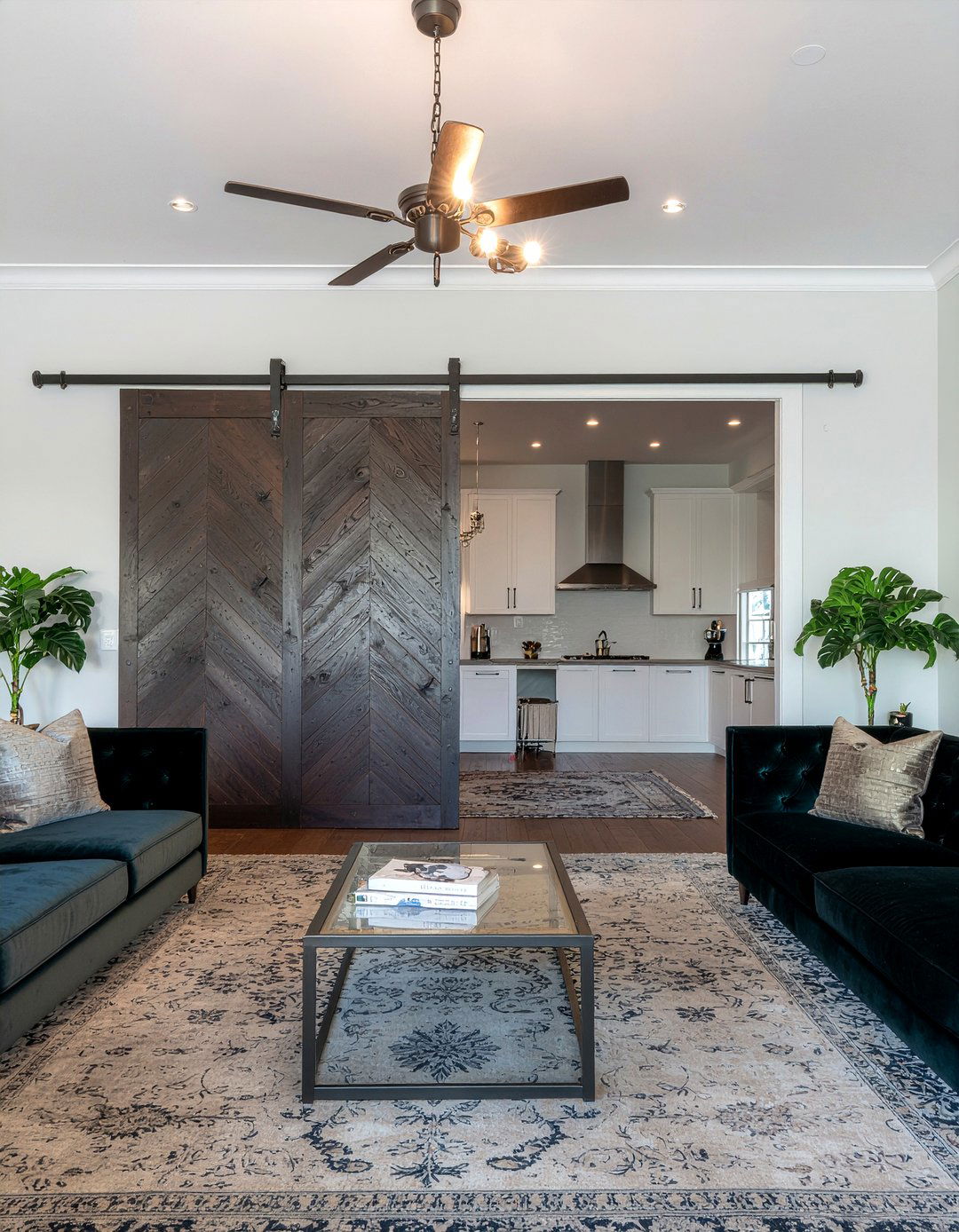 Herringbone Barn Door - 30 living room barn doors