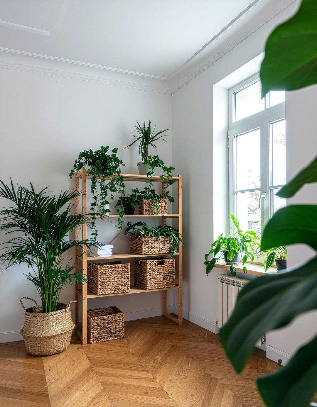 House Plants - 30 living room upgrade ideas