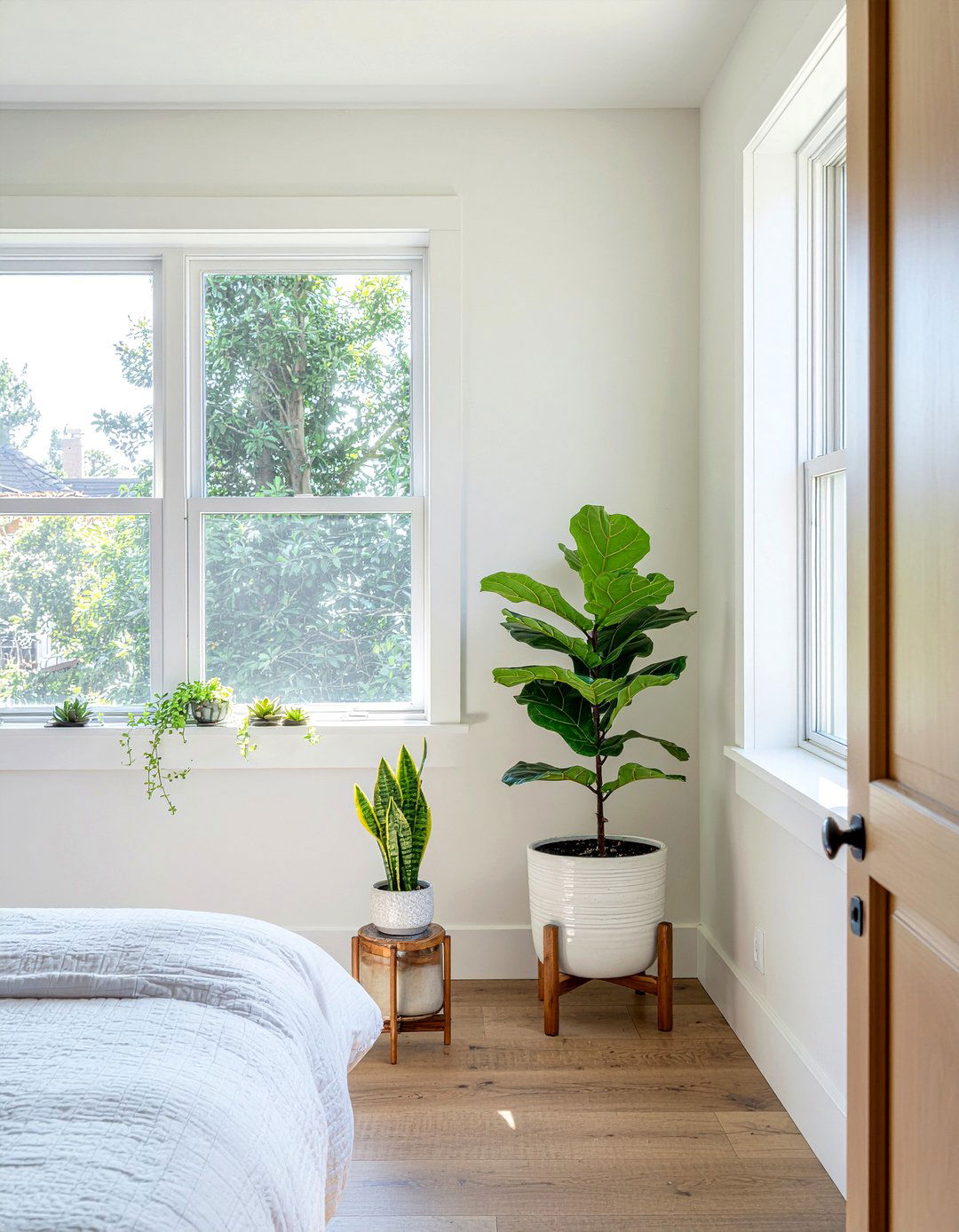 Indoor Bedroom Plants - 30 restful bedroom ideas