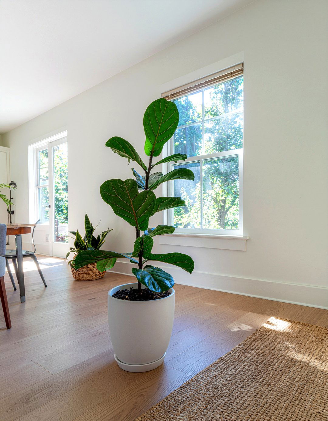 Indoor Green Plant - 30 rustic modern dining room ideas