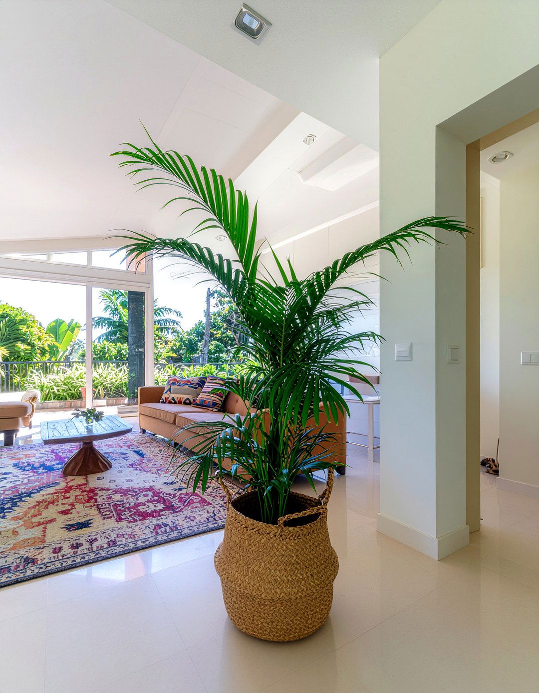 Indoor Palm Tree - 30 Caribbean living room ideas