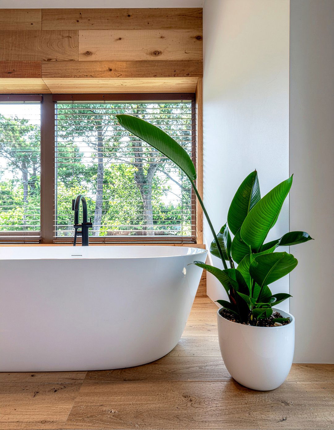 Indoor Plant - 30 bathroom focal point ideas