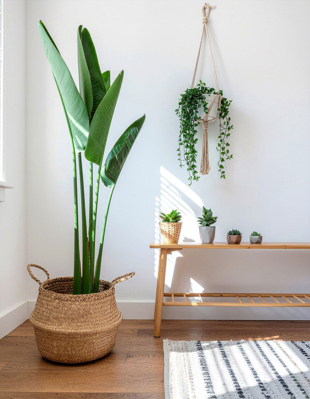 Indoor Plant Arrangement - 30 townhouse living room ideas