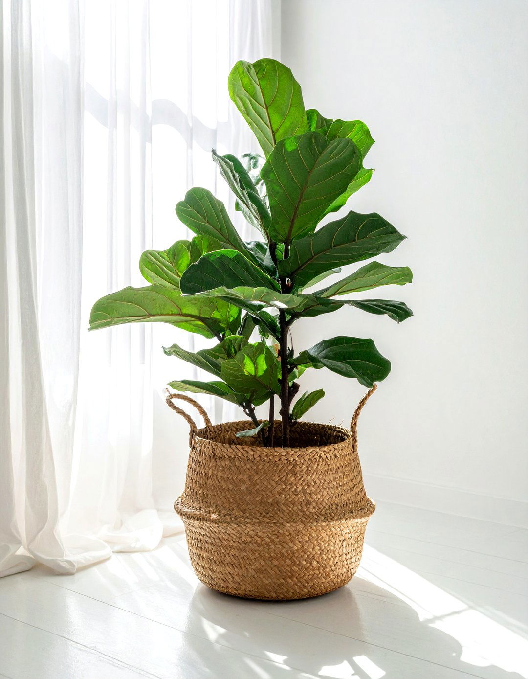 Indoor Plant Basket - 30 rattan basket ideas