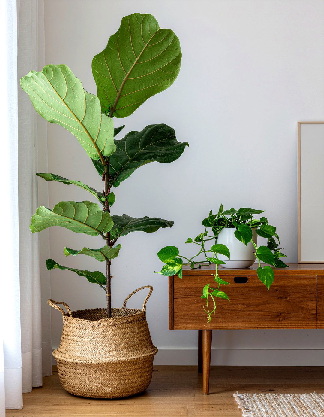 Indoor Plants Arrangement - 30 one day bedroom ideas