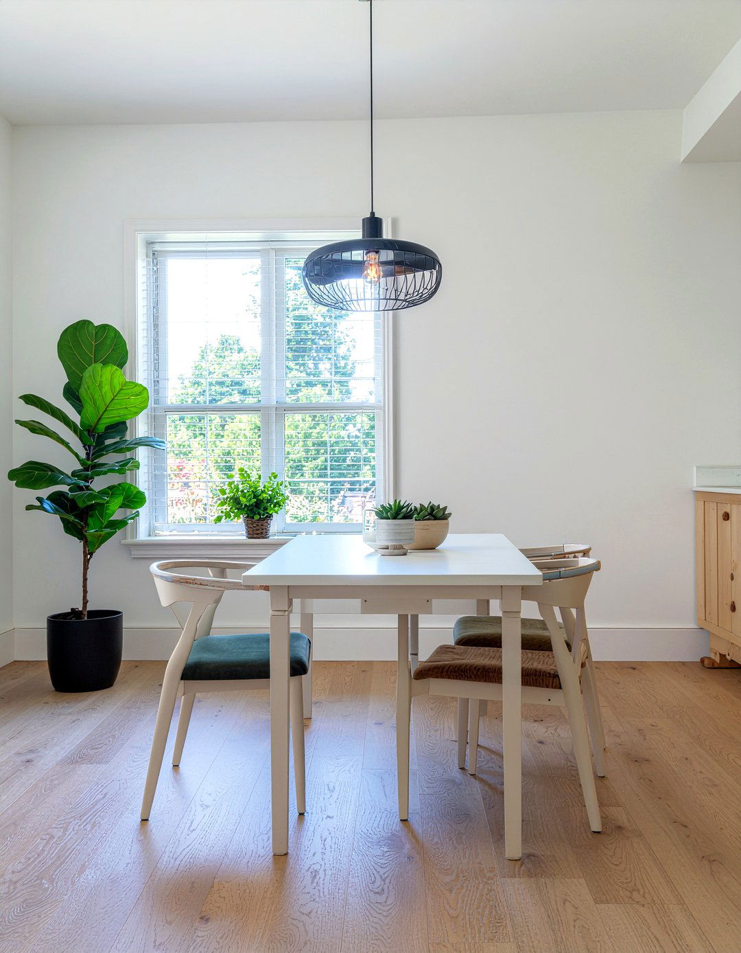 Indoor Plants For Dining Room - 30 dining room entertaining ideas