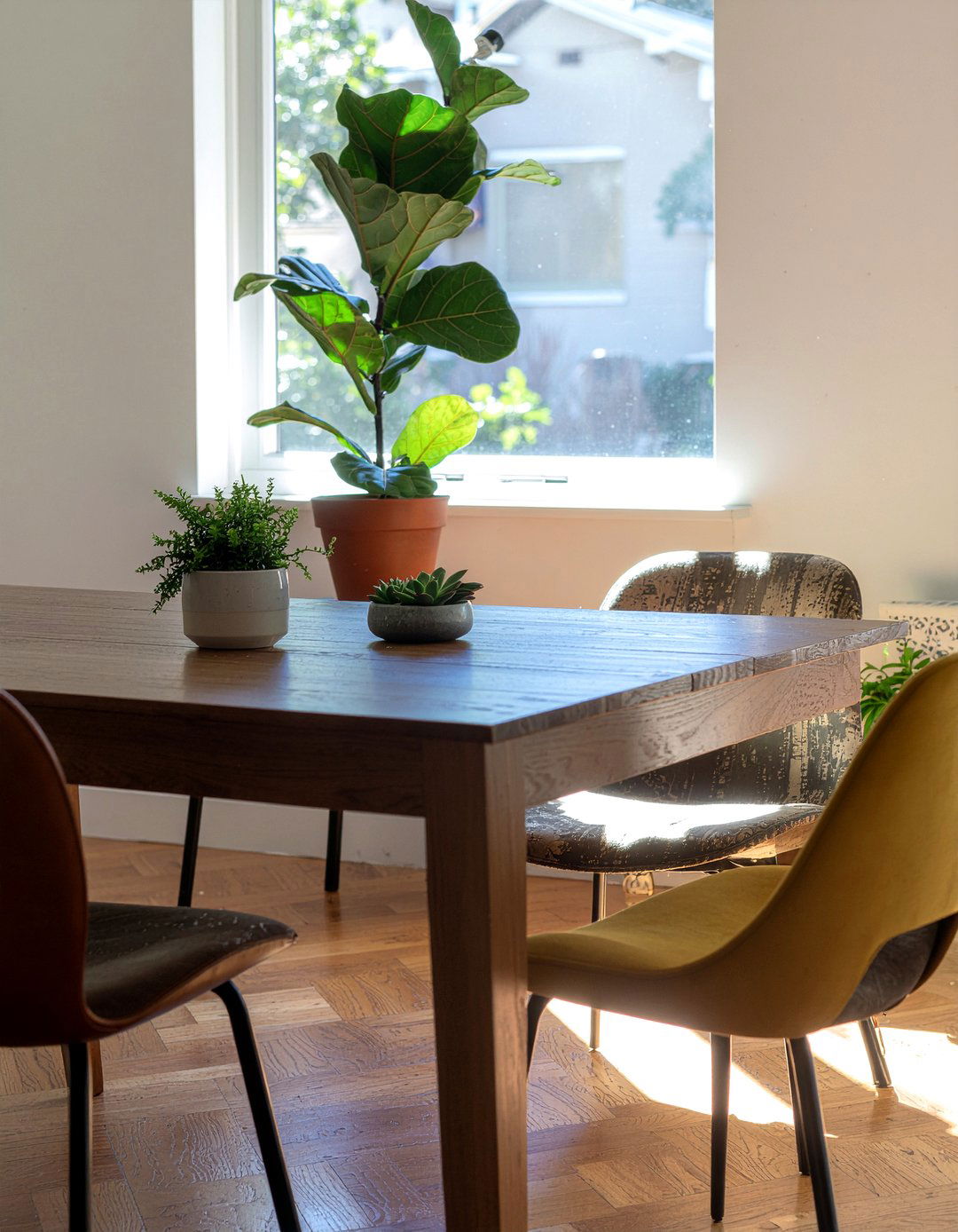 Indoor Plants for Dining Room - 30 dining room facelift ideas