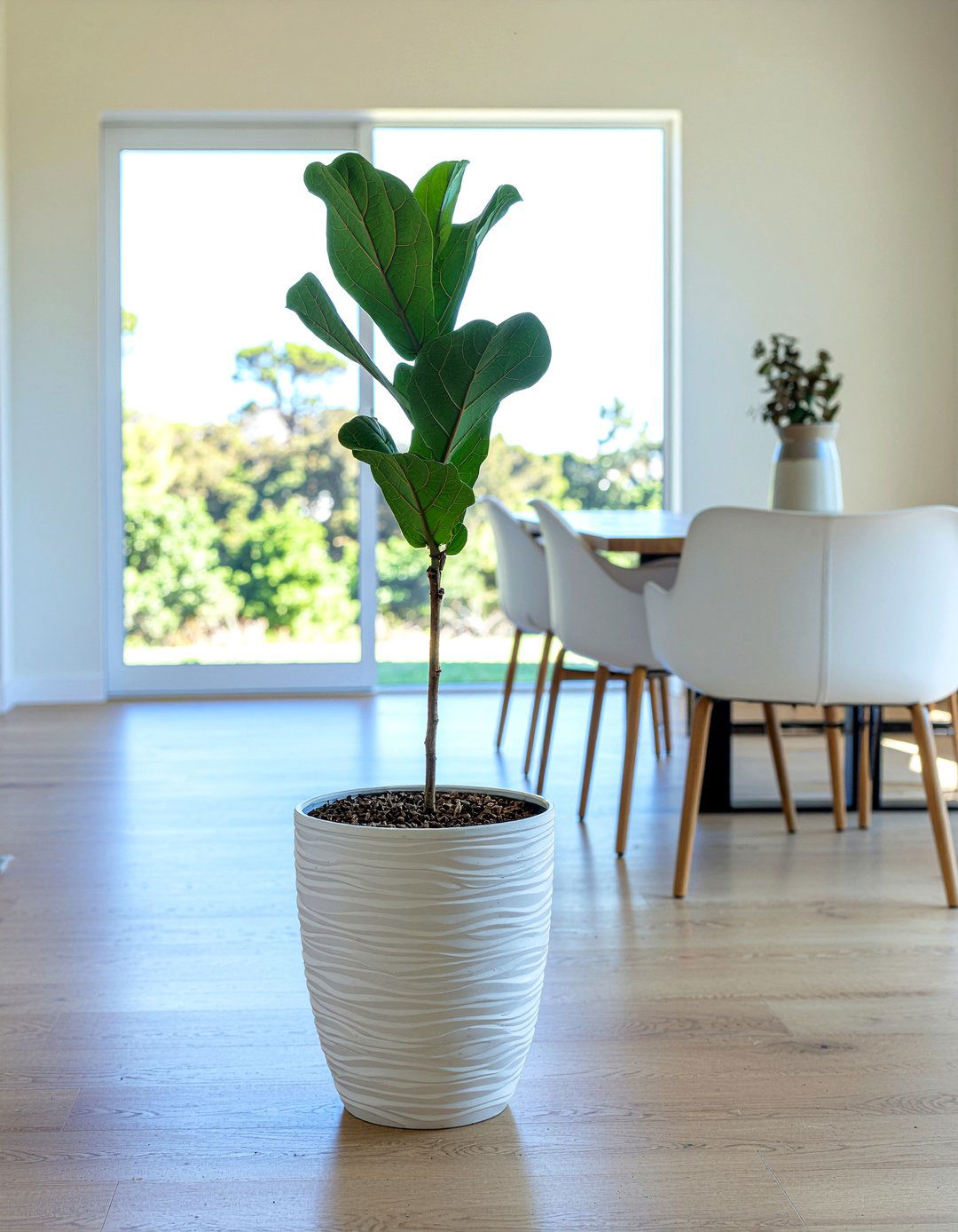 Indoor Potted Plant - 30 dining room essentials