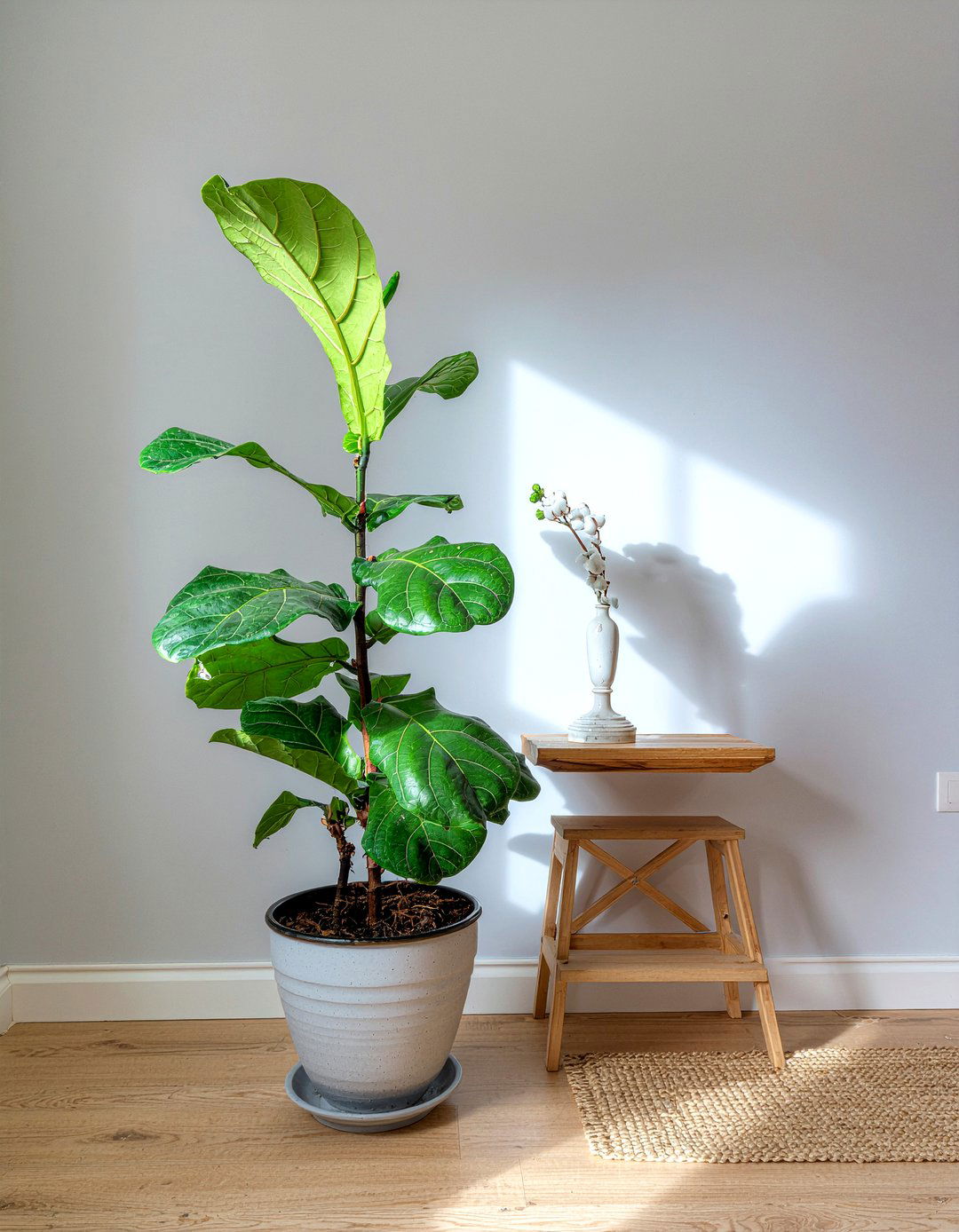 Indoor Tree - 30 textured living room ideas