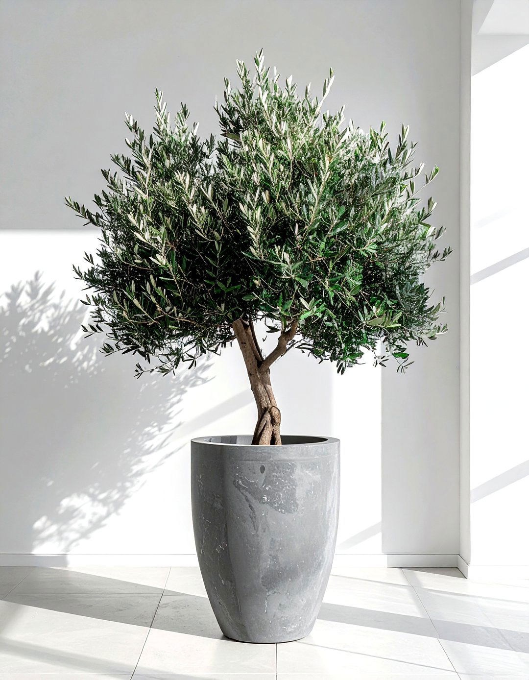 Indoor Tree In Pot - 30 living room finishing touches ideas