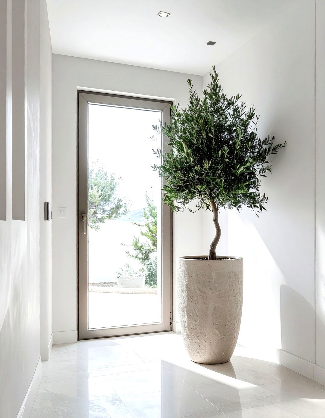 Indoor Tree Planter - 30 grand entryway ideas