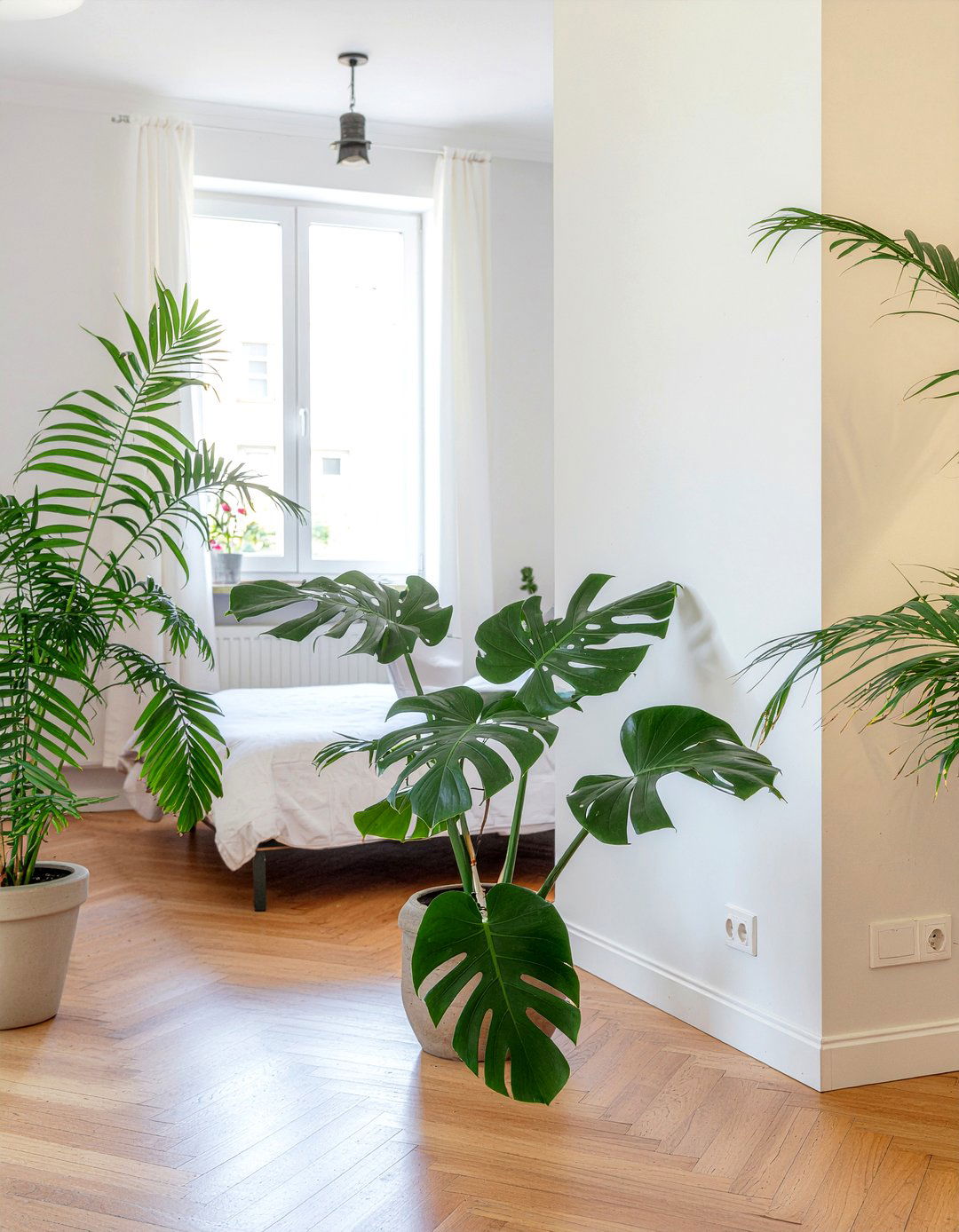 Indoor Tropical Plants - 30 Caribbean bedroom ideas