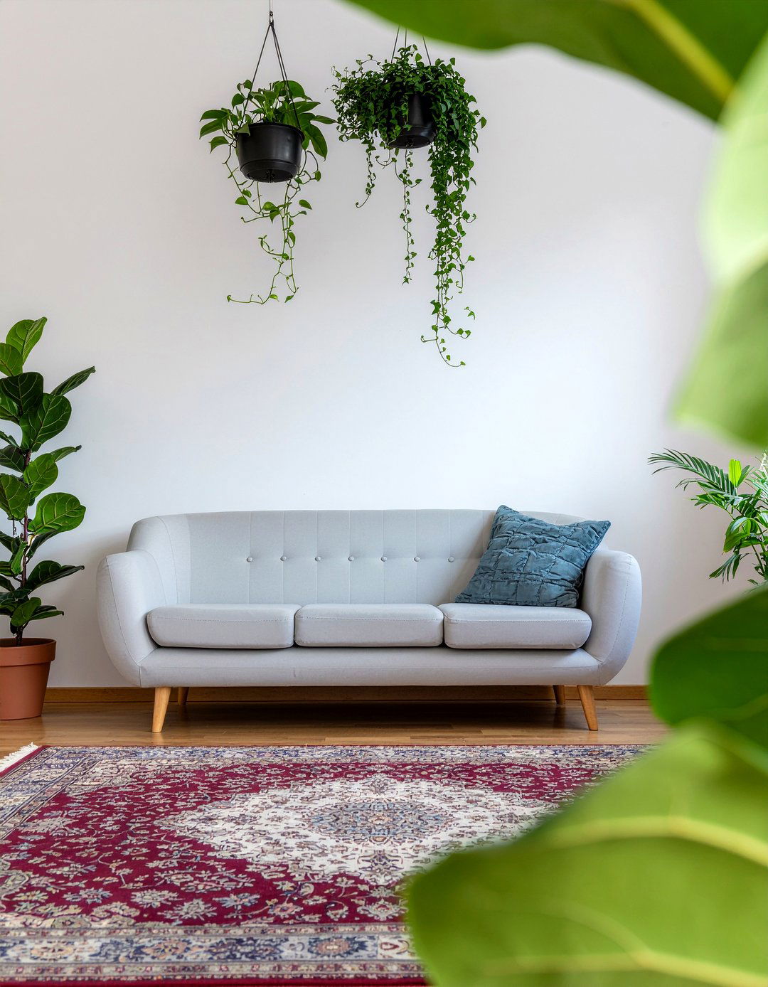 Indoor house plants - 30 cozy living room ideas
