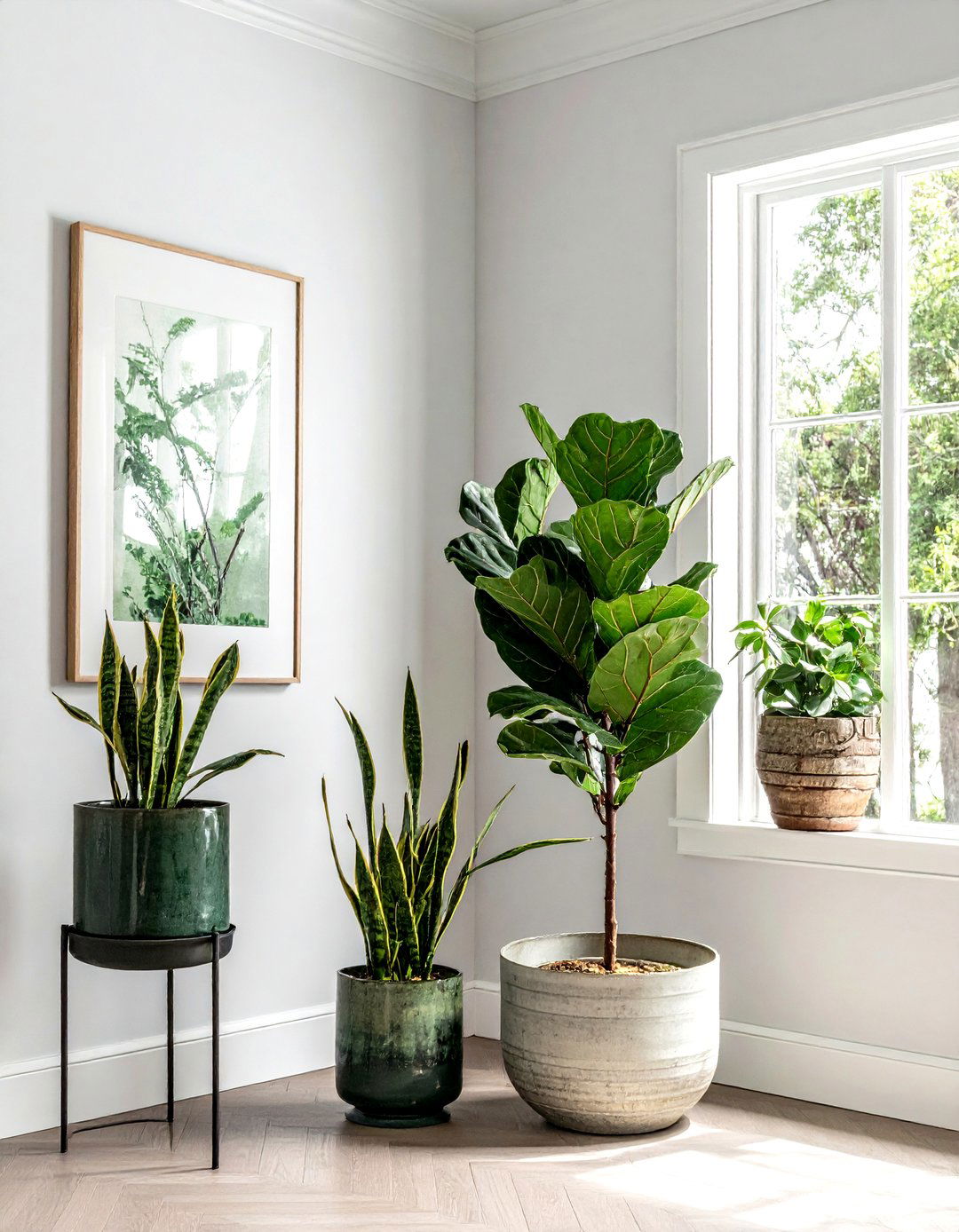 Indoor house plants - 30 new homeowner decor ideas
