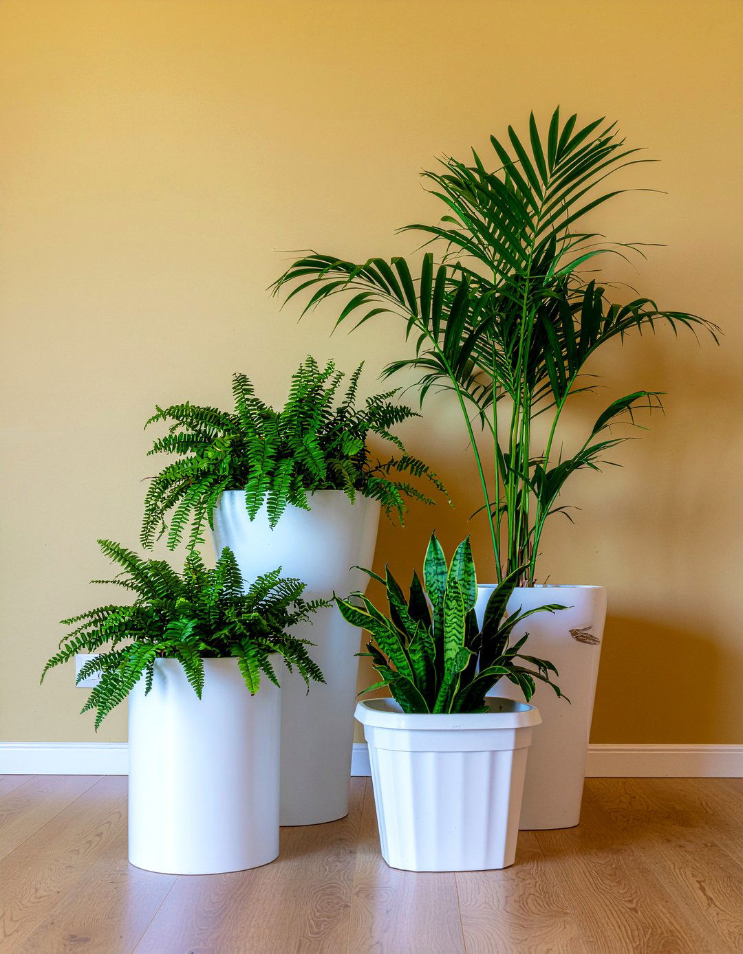 Indoor plants - 30 hotel living room ideas