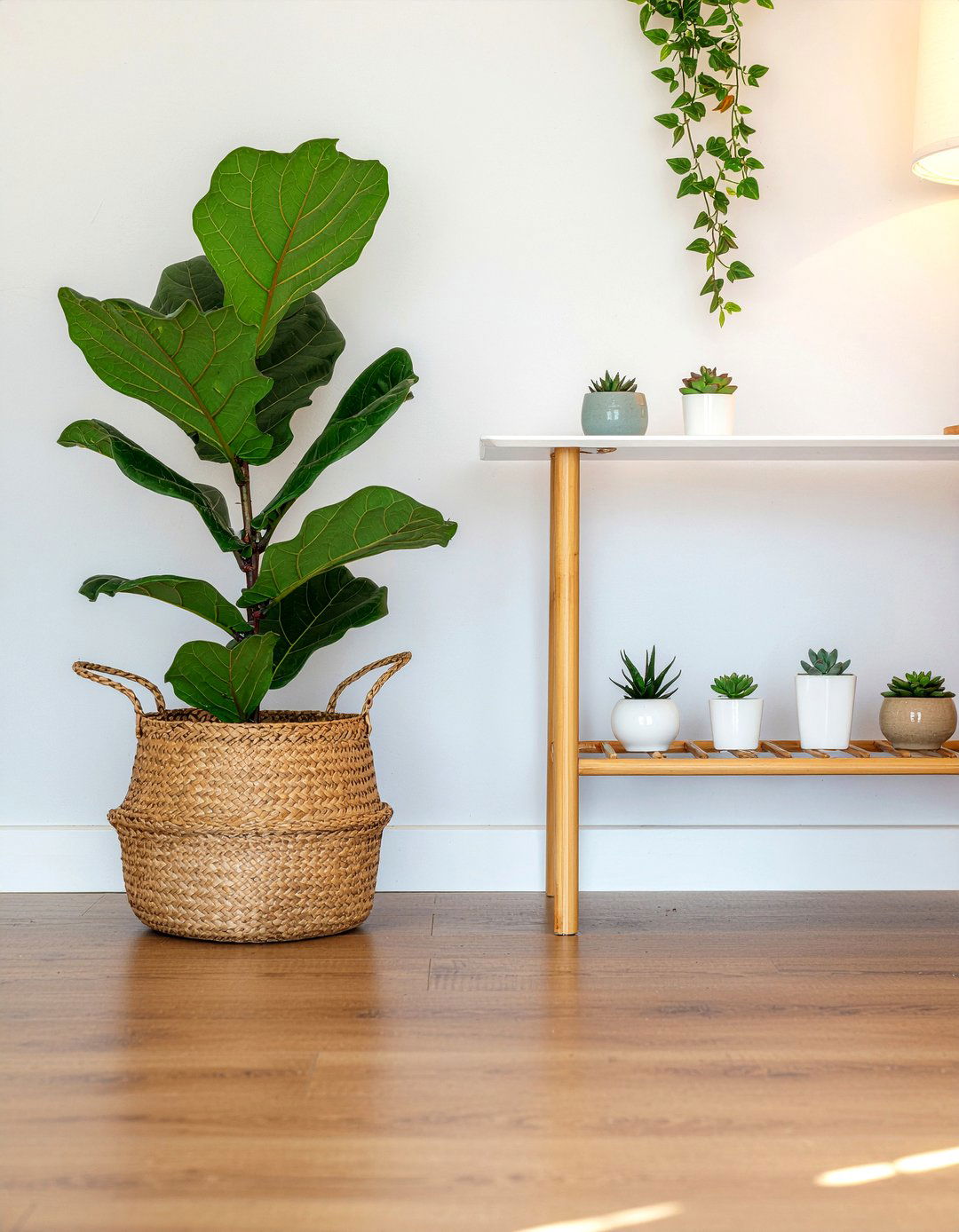 Indoor plants for living room - 30 new build living room ideas