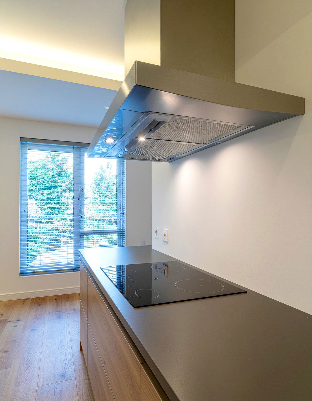 Induction Cooktop Stainless Steel Hood - 30 induction cooktop kitchen ideas