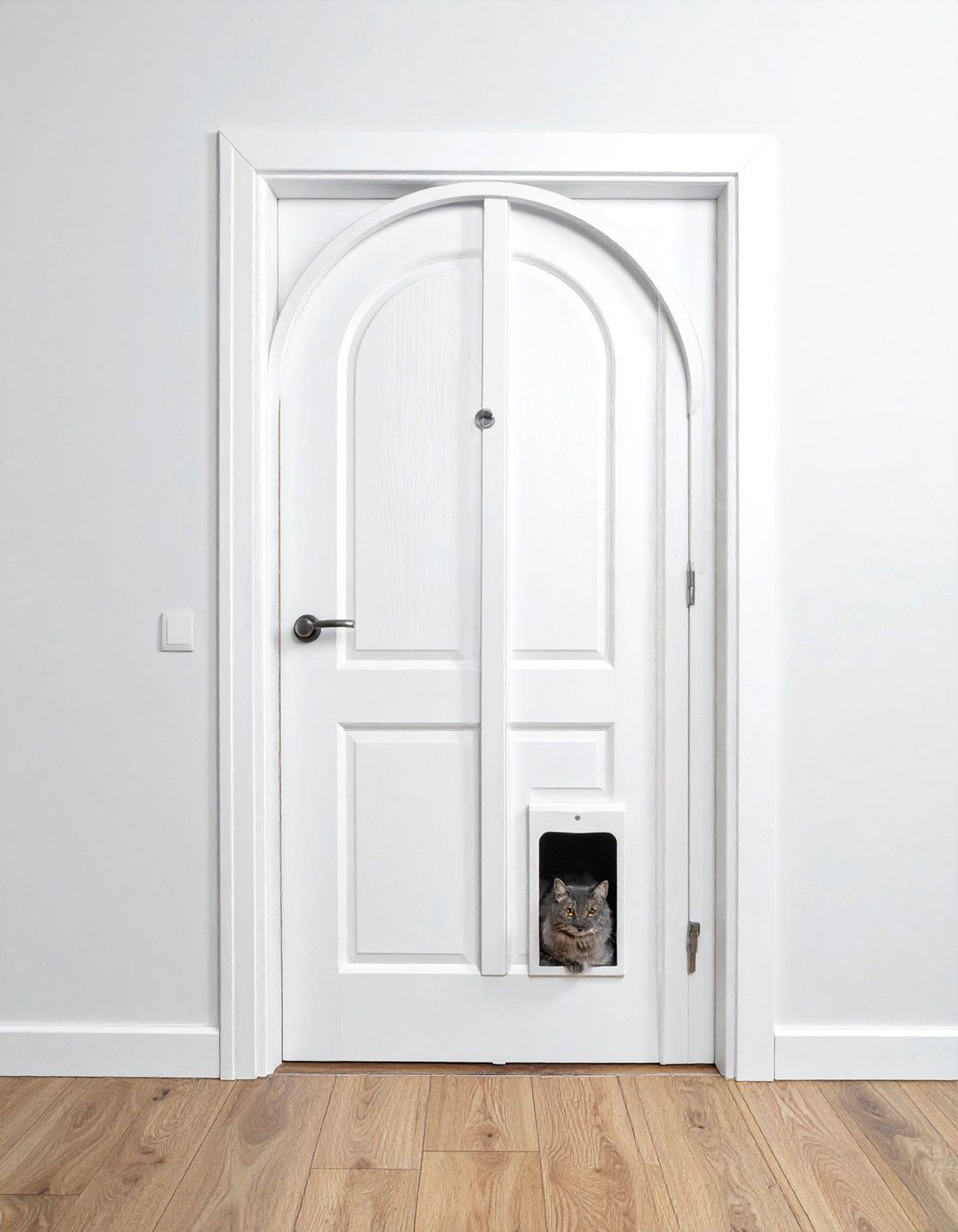 Interior Cat Door - 30 cat-friendly decor ideas