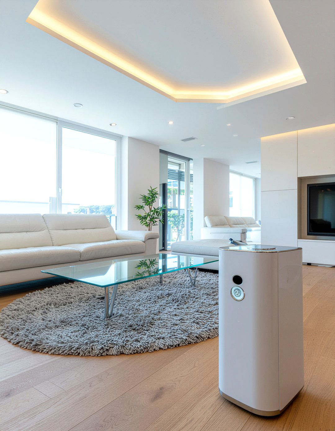 Ionic Air Purifier - 30 living room air purifiers