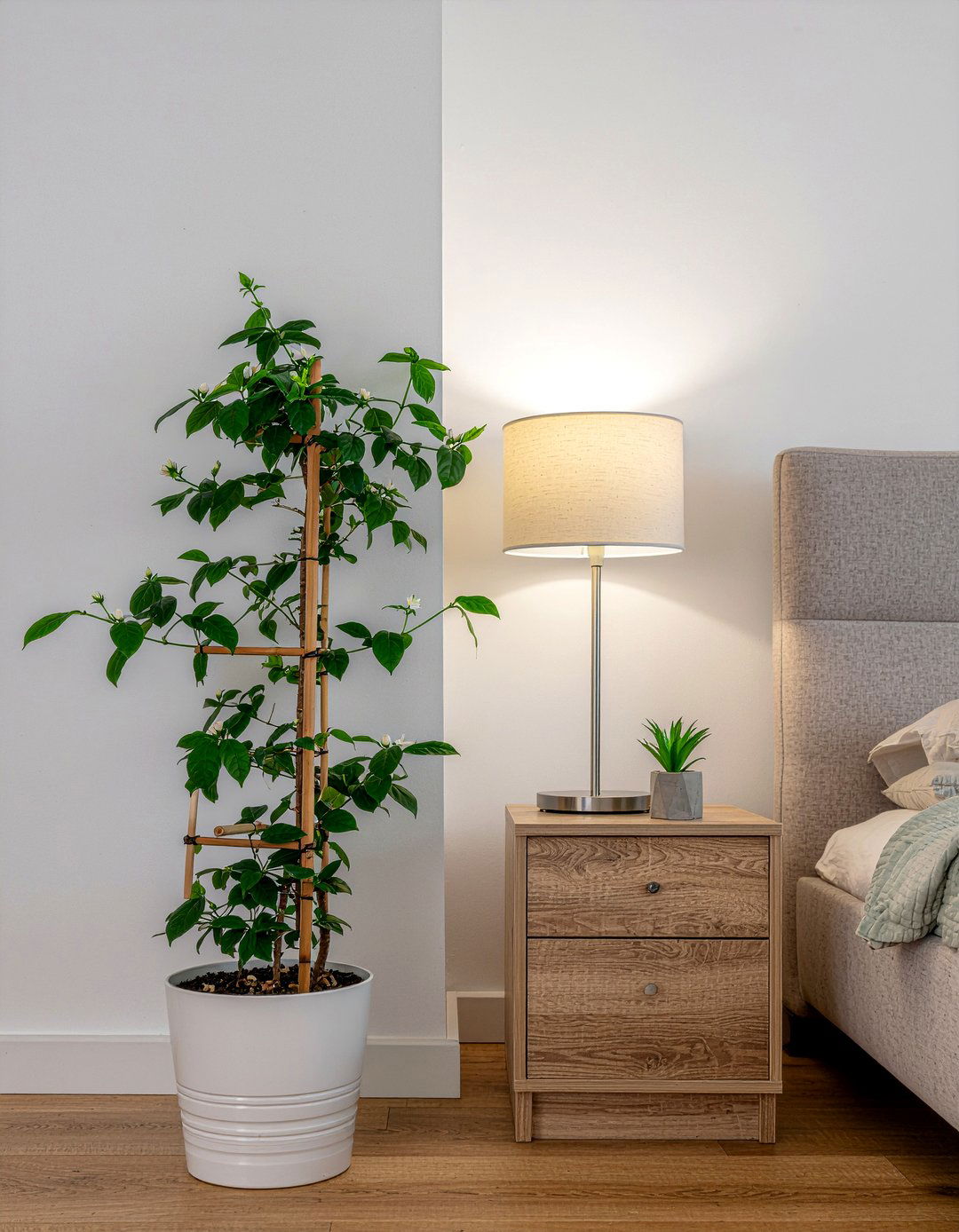 Jasmine Plant Bedroom - 30 bedroom flower arrangements