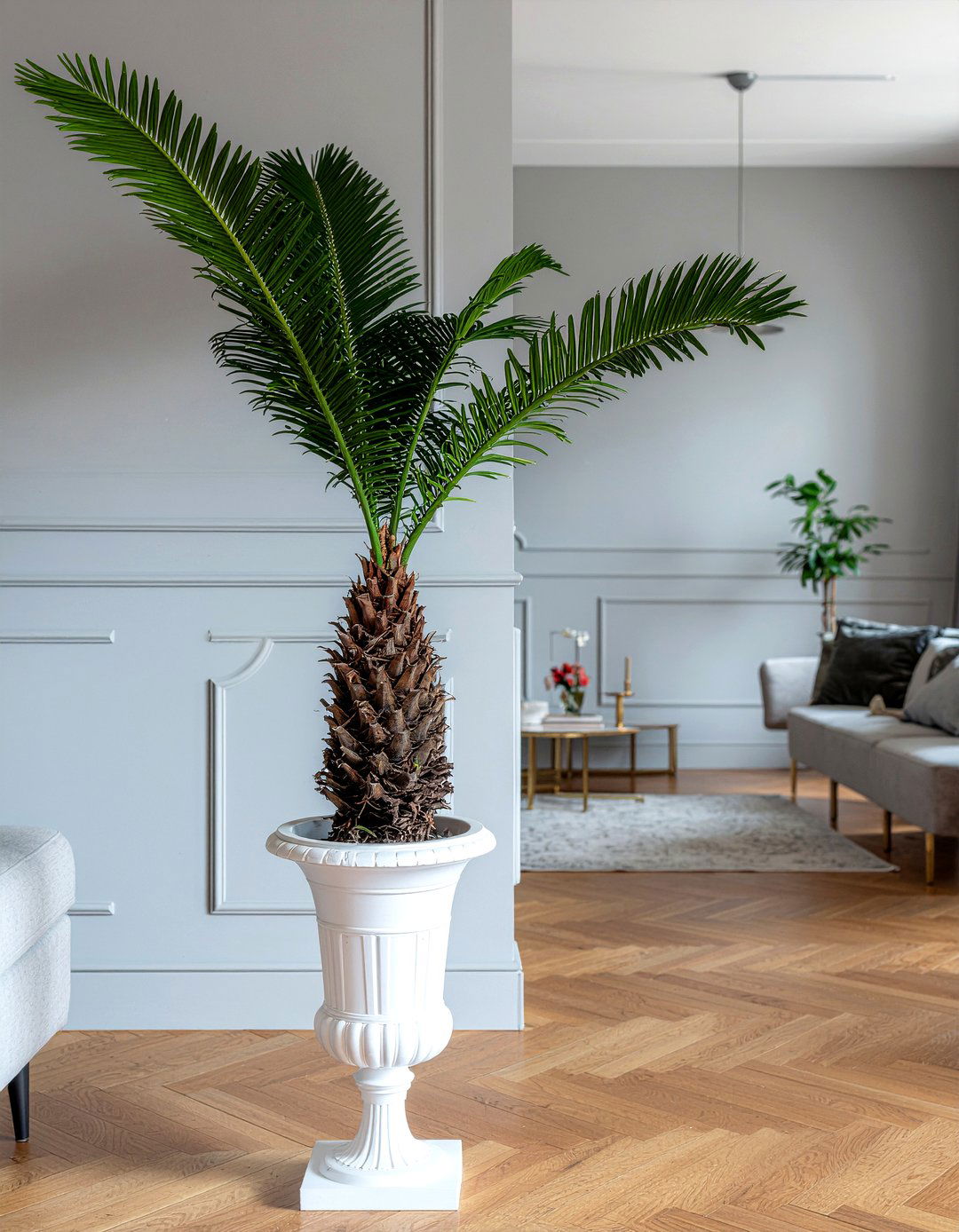 30 Best Living Room Plants to Transform Your Space Naturally