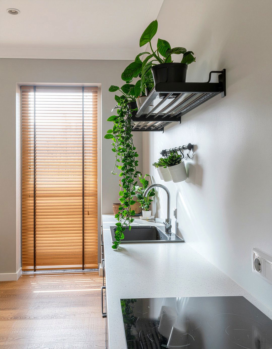 Kitchen Wall Plant Rod - 30 hanging plant kitchen ideas