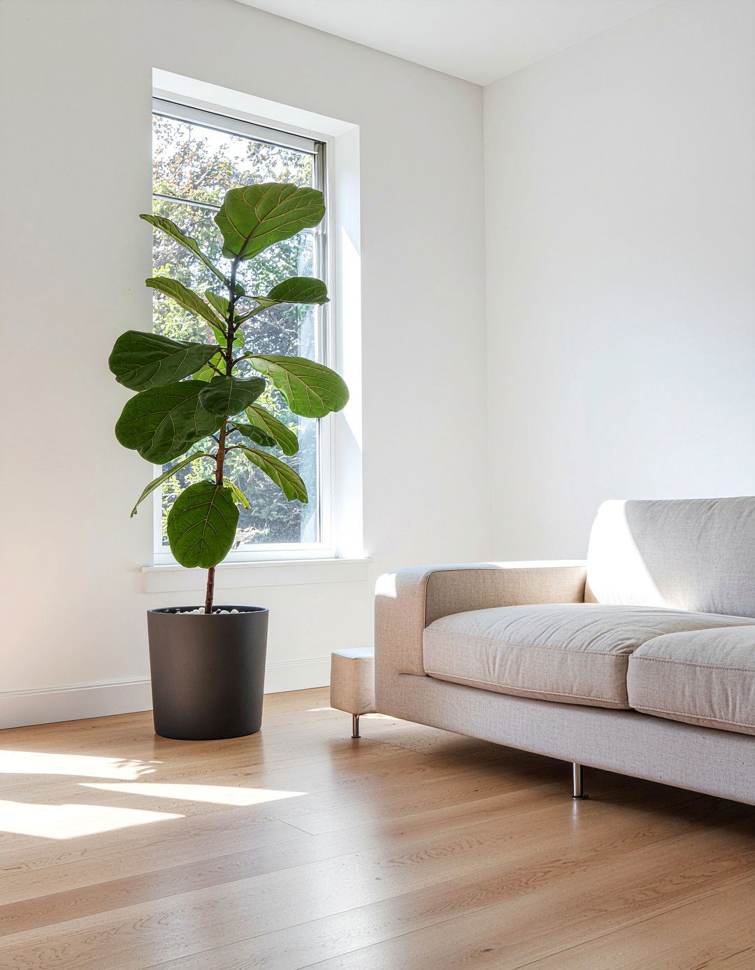 Large Floor Planter - 30 living room planters