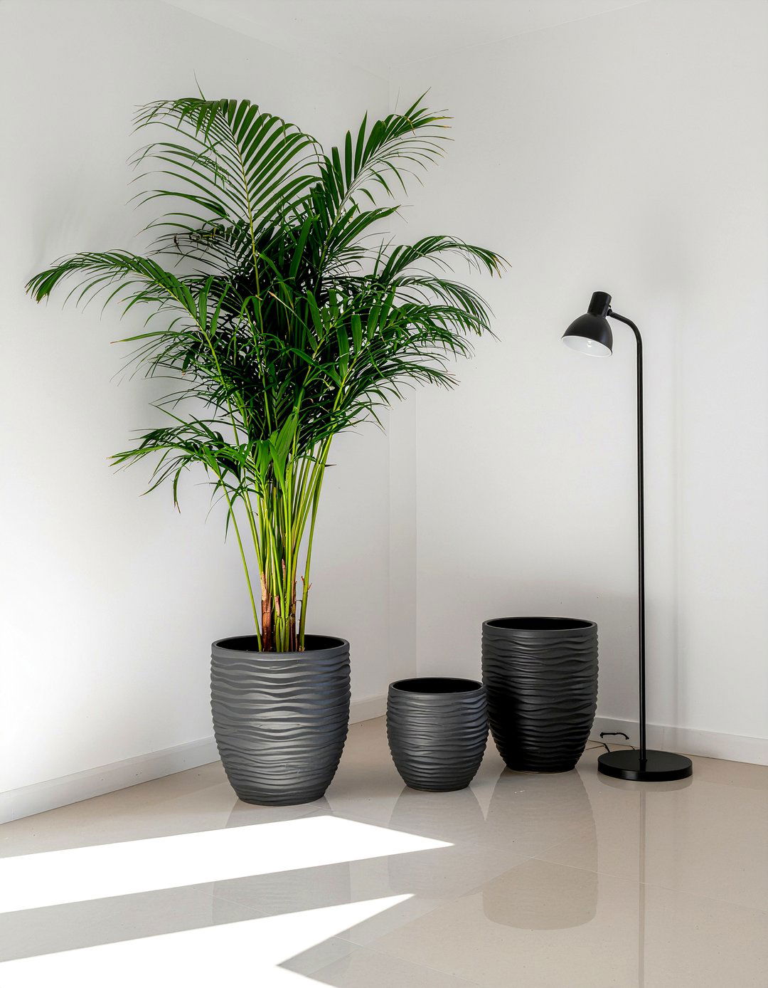 Large Indoor Palm Plants - 30 tropical living room ideas