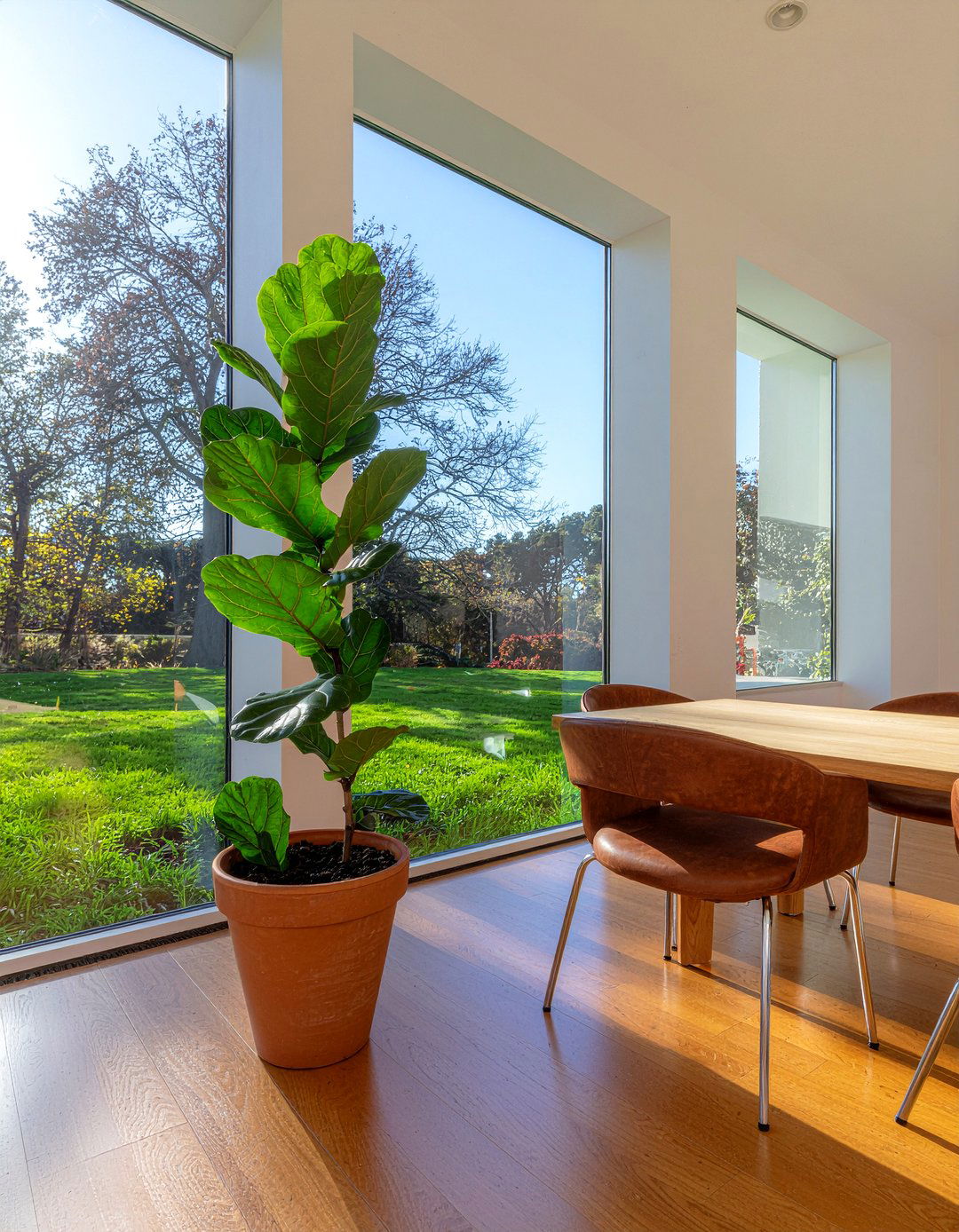 Large Indoor Plant - 30 ambient dining room ideas