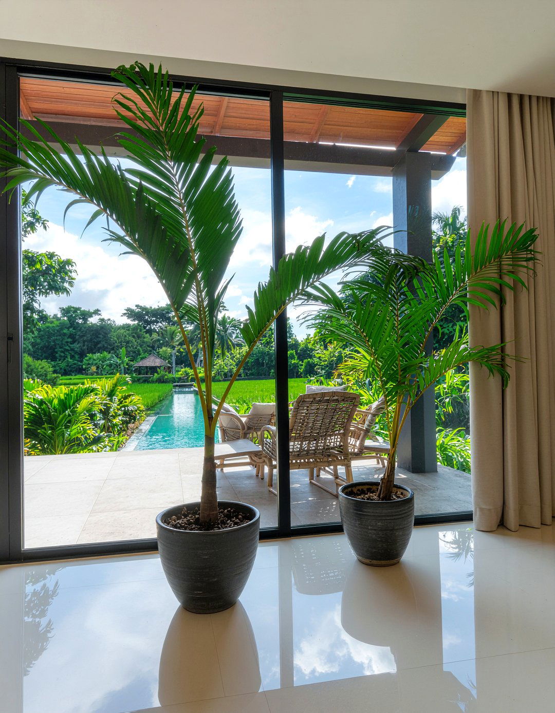 Large Potted Palms - 30 Balinese dining room ideas