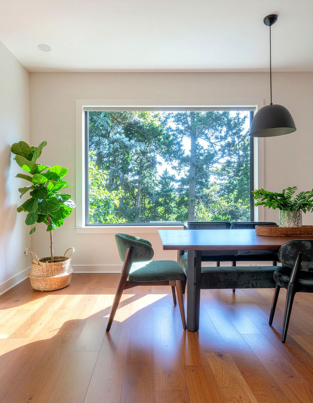 Large fiddle leaf fig dining room corner - 30 dining room potted plant ideas